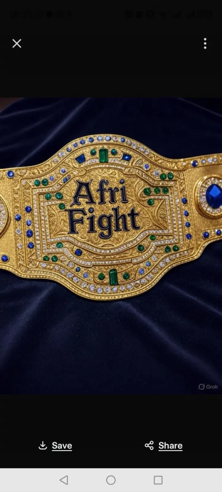 Archive photographique Afri Fight 054